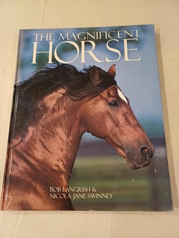boek the magnificent horse engelstalig hard cover beschikbaar voor biedingen
