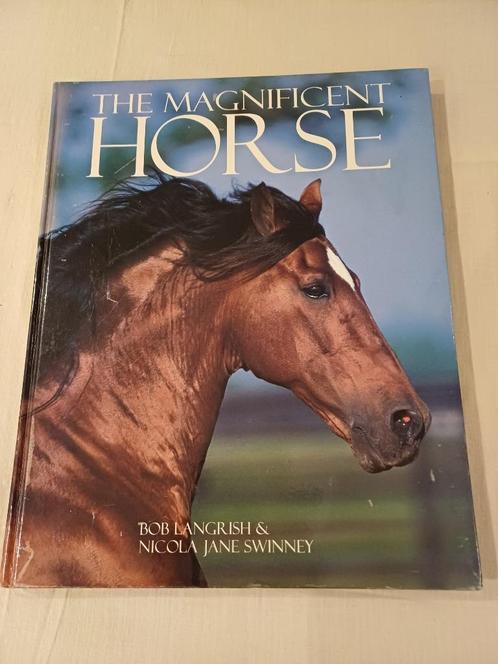 boek the magnificent horse engelstalig hard cover, Boeken, Dieren en Huisdieren, Gelezen, Paarden of Pony's, Ophalen of Verzenden