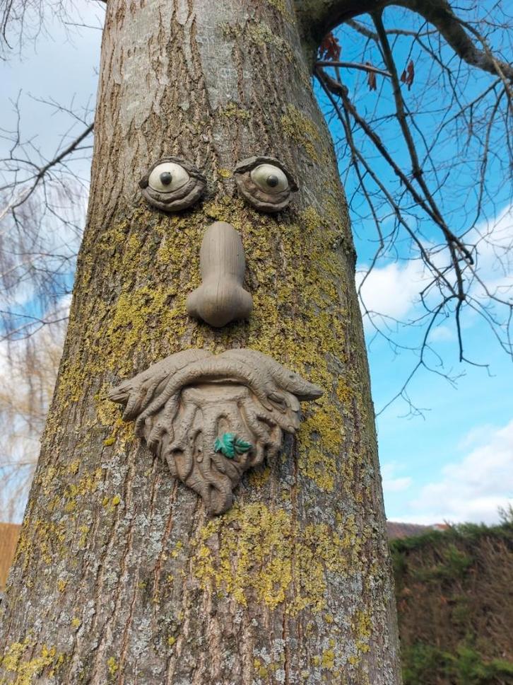 boomgezicht in 4 delen, Tuin en Terras, Tuinbeelden, Nieuw, Overige typen, Beton, Ophalen of Verzenden