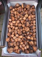 Noten 4 kg 10 euro, Diversen, Levensmiddelen, Ophalen