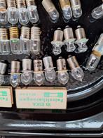 Vele Oude mini gloeilampjes en glazen zekeringen, Enlèvement ou Envoi