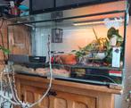 Groot terrarium 120x60x60 Volledig uitgerust, Dieren en Toebehoren, Ophalen, Gebruikt, Terrarium of Paludarium