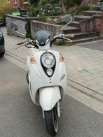 Sym Mio 50, Mio, Classe B (45 km/h), Enlèvement, Utilisé