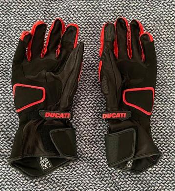Ducati Handschoenen leder, Motoren, Ophalen, Nieuw zonder kaartje, Dames, Handschoenen