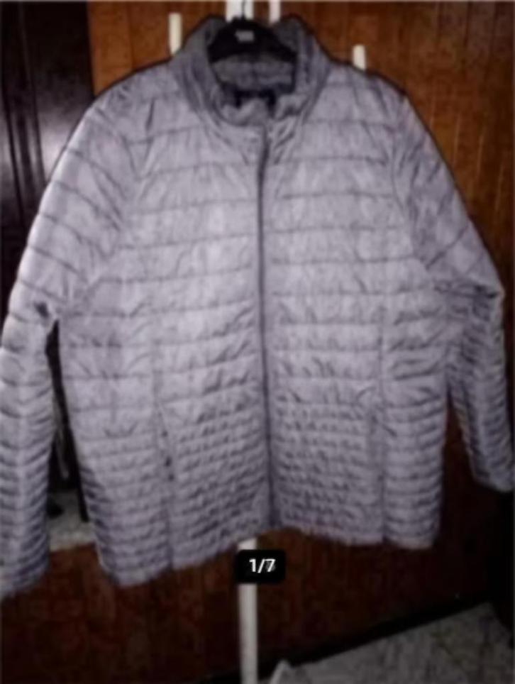 mooie warme jassen / mantels - 42/48 - 5-10€/stuk, Kleding | Dames, Jassen | Winter, Gedragen, Ophalen of Verzenden
