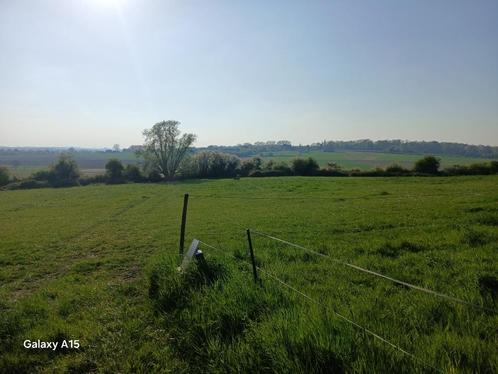 Pension pour chevaux à la ferme avec 15 h de prairies, Dieren en Toebehoren, Stalling en Weidegang, Stalling, Weidegang