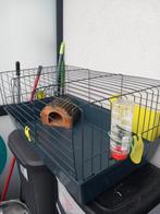 cage Rongeur à venir chercher contactez moi., Dieren en Toebehoren, Knaagdieren en Konijnen | Hokken en Kooien, Minder dan 60 cm