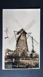Rijkevorsel Oude molen Moulin windmolen Uitgave Milac, Ophalen of Verzenden, 1940 tot 1960, Ongelopen, Antwerpen
