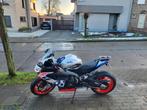 Aprilia RS660 Limited Edition, Motoren, Motoren | Aprilia, 2 cilinders, 660 cc, Super Sport, Particulier