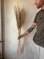Pampasgras natuurlijke beige droogbloemen sierboeket pluimen, Ophalen, Zo goed als nieuw