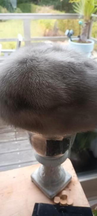 Licht grijze nerts hoed met pootjes beschikbaar voor biedingen