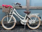 Vogue Transporter 20 inch, Fietsen en Brommers, Ophalen, Gebruikt, 20 inch, Vogue
