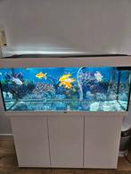 Juwel aquarium met kast