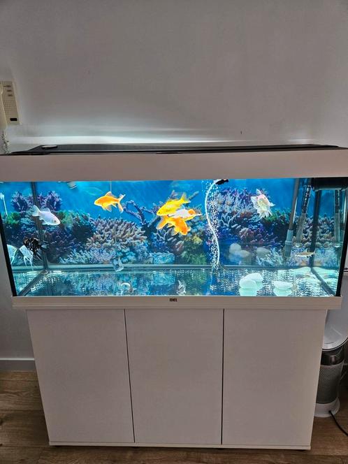 Juwel aquarium met kast, Dieren en Toebehoren, Vissen | Aquariumvissen
