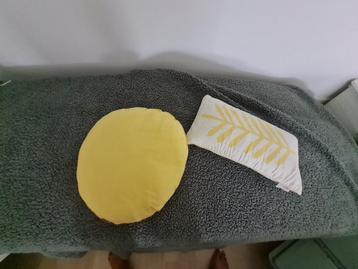 2 sierkussens - Roomblush / geel + geel-wit beschikbaar voor biedingen