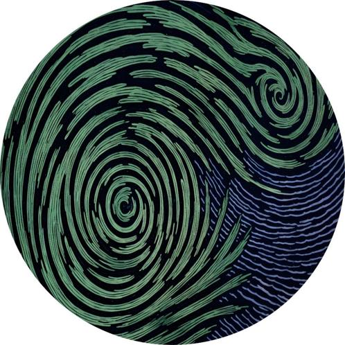 Cercle mural vert 80x80 Dibond + système d'accroche, Maison & Meubles, Accessoires pour la Maison | Peintures, Dessins & Photos