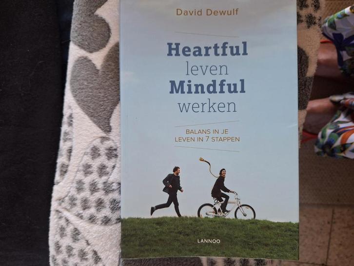 David Dewulf - Heartful leven mindful werken, Boeken, Psychologie, Zo goed als nieuw, Ophalen of Verzenden