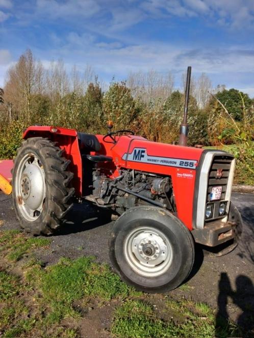 Tractor massey ferguson, Zakelijke goederen, Landbouw | Tractoren, Massey Ferguson, Ophalen