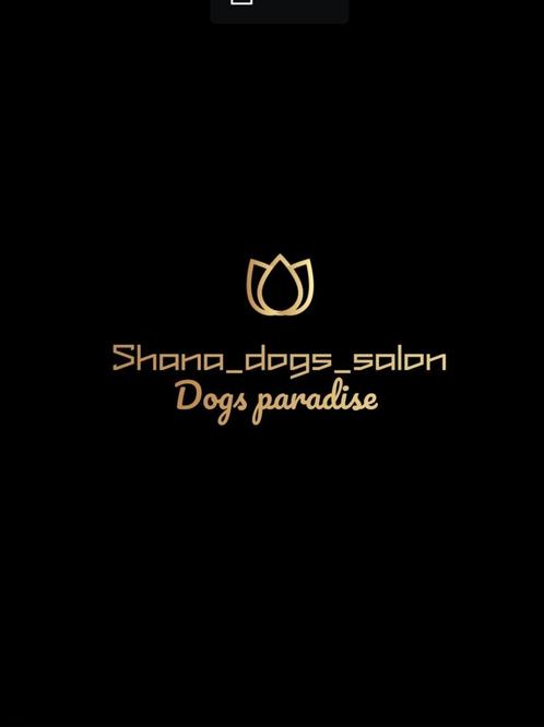 Mobiele hondentrimster shana_dogs_salon, Zakelijke goederen, Overige Zakelijke goederen, Ophalen of Verzenden