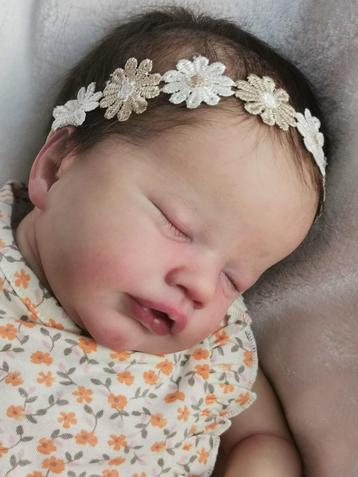 Reborn Primrose slaapt artiest Kelly Dudley - nieuw, Enlèvement ou Envoi, Neuf, Autres types, Réaliste ou Reborn