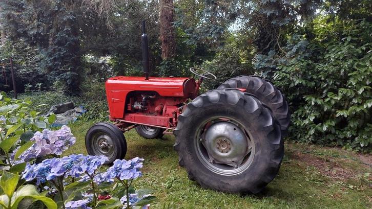 David Brown 850 met palletvork, Zakelijke goederen, Landbouw | Tractoren, Overige merken, tot 80 Pk, Oldtimer, Ophalen