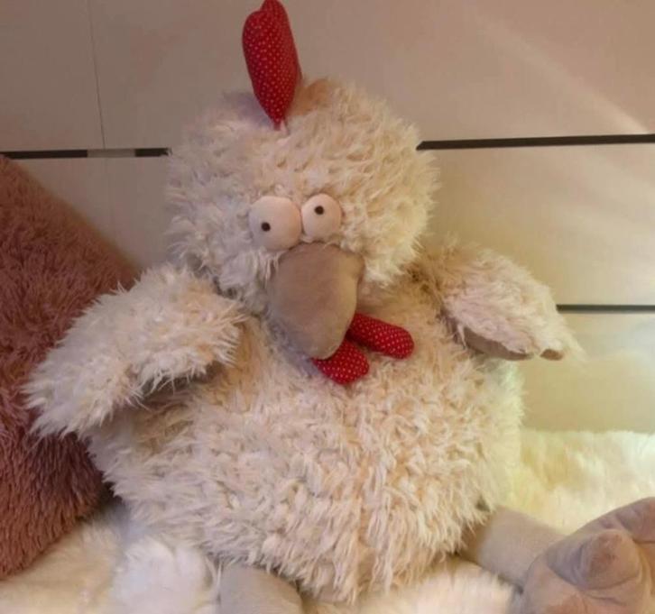 Kip hennetje zoekt nieuwe thuis - grote aaibaarheidsfactor, Dieren en Toebehoren, Pluimvee, Kip