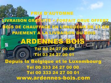 Brandhout van 33 cm lang - Andere lengtes beschikbaar voor biedingen