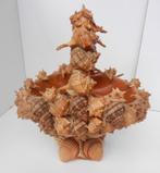 curiosa, Antiek en Kunst, Ophalen of Verzenden