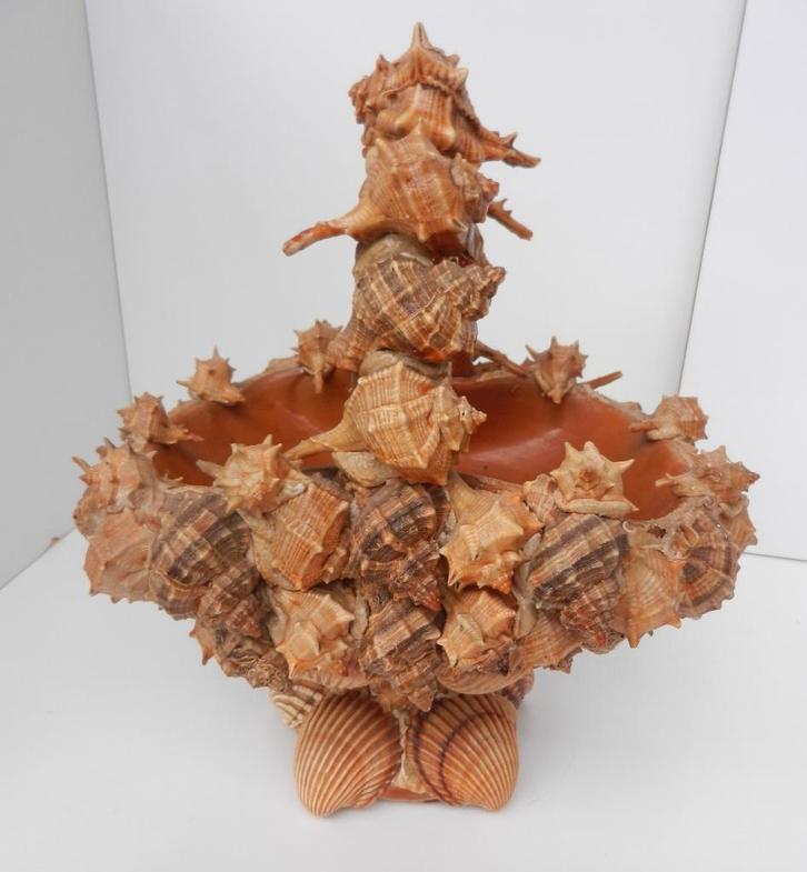 curiosités, Antiquités & Art, Curiosités & Brocante, Enlèvement ou Envoi