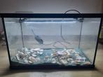 Mooi aquarium met alle benodigdheden filterpomp, verwarming, Dieren en Toebehoren, Ophalen, Zo goed als nieuw, Gevuld zoetwateraquarium