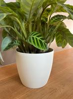 Kunststof bloempot crème/ivoor 25cm, 25 tot 40 cm, Kunststof, Rond, Binnen