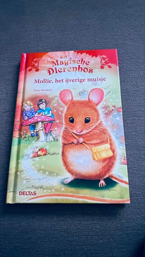 Daisy Meadows - Mollie, het ijverige muisje, Boeken, Kinderboeken | Jeugd | onder 10 jaar, Ophalen of Verzenden