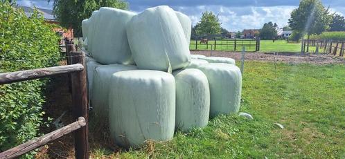 Hooi, Dieren en Toebehoren, Stalling en Weidegang