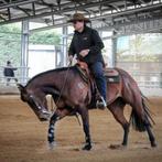 Zeer mooie en brave 13 jarige Quarter Horse merrie, Dieren en Toebehoren, Merrie, ZZ, Minder dan 160 cm, Gechipt