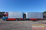 Volvo FH 13 480 6x2 3 stock livestock transport Cuppers, Cruise Control, Te koop, Handgeschakeld, Diesel
