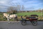 Pony koets in goede staat, Dieren en Toebehoren, Gebruikt, Pony