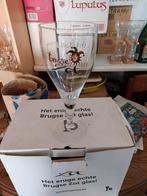 Brugse zot  0.5l, Verzamelen, Ophalen of Verzenden, Nieuw