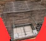 Cage oiseau, Animaux & Accessoires