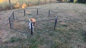 Puppyren 8
 stalen
panelen 100x50 cm beschikbaar voor biedingen