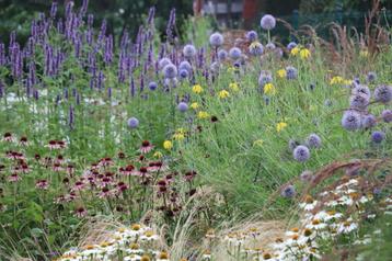 Aanleg plantenborder beschikbaar voor biedingen