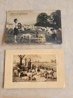 2 postkaarten nr 119a, Collections, Cartes postales | Thème, Enlèvement ou Envoi
