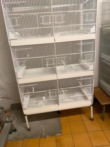 90 Donuskooien met zijwand beschikbaar voor biedingen