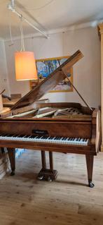 Steinbach Vleugelpiano, Enlèvement, Brun, Piano