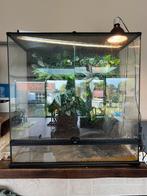 Exo terra 90x90, Ophalen, Gebruikt, Terrarium of Paludarium
