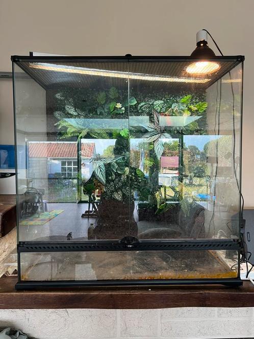 Exo terra 90x90, Dieren en Toebehoren, Reptielen en Amfibieën | Toebehoren, Gebruikt, Terrarium of Paludarium, Ophalen