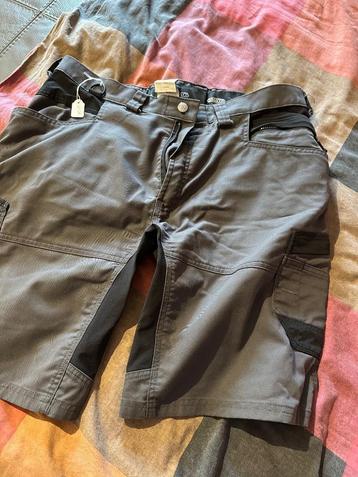 Werkshort Dassy 56 beschikbaar voor biedingen