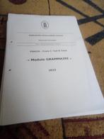Syllabus module grammaire, Verzenden, Hoger Onderwijs, Nieuw, Diverse auteurs