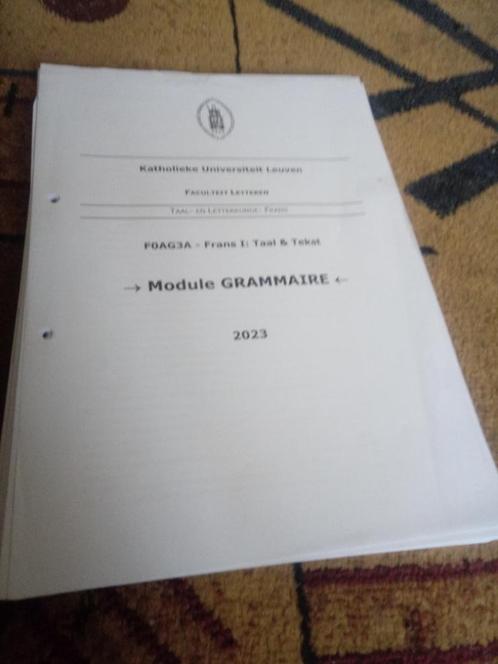 Syllabus module grammaire, Boeken, Studieboeken en Cursussen, Nieuw, Hoger Onderwijs, Alpha, Verzenden