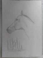 Mooie tekening van een paard - 30 euro, Ophalen of Verzenden