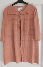 Oudroze vest Relish maat M, Vêtements | Femmes, Pulls & Gilets, Relish, Enlèvement ou Envoi, Comme neuf, Taille 38/40 (M)